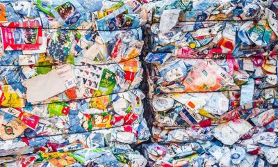 بسته بندی پلاستیکی مواد غذایی بسته بندی پایدار بازیافت پلاستیک